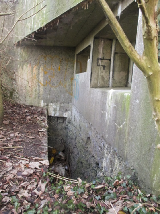 Ligne Maginot - A53 - CEDRE - (Blockhaus pour canon) - 