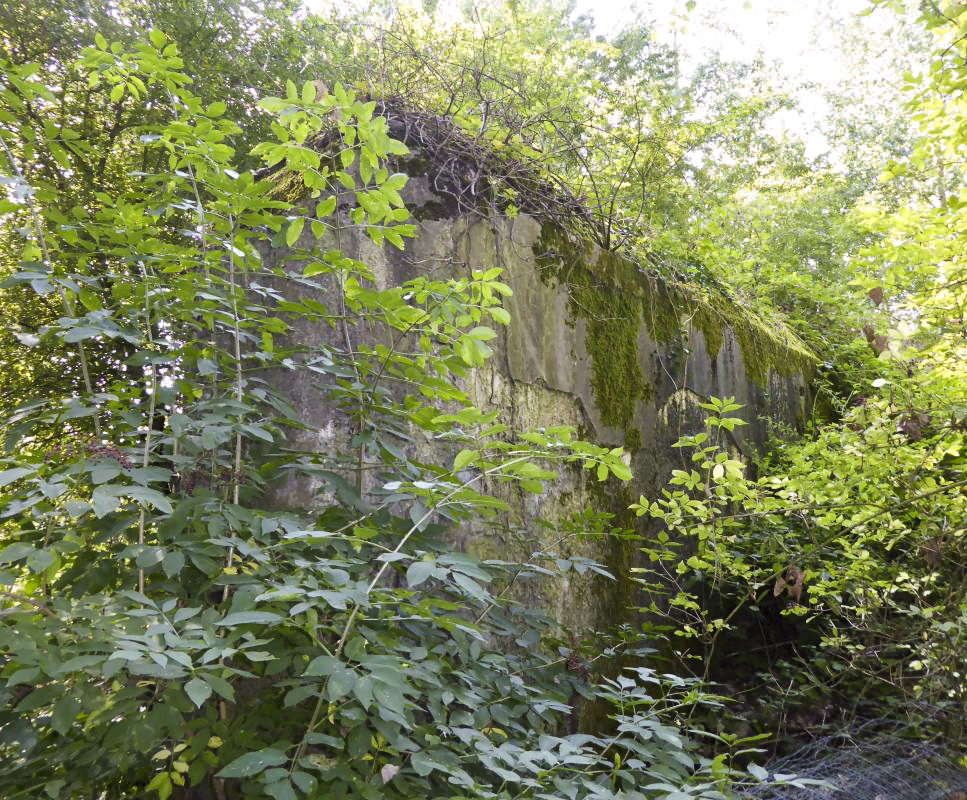 Ligne Maginot - A59 - PRESEAU EST - (Blockhaus lourd type STG / STG-FCR - Double) - 