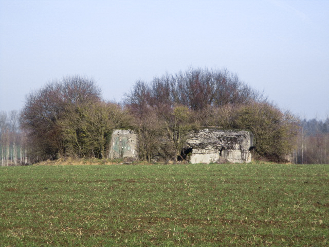 Ligne Maginot - A62 - MUGUET - (Blockhaus lourd type STG / STG-FCR - Double) - Blockhaus visible du chemin rural se dirigeant vers La Boiscrête.