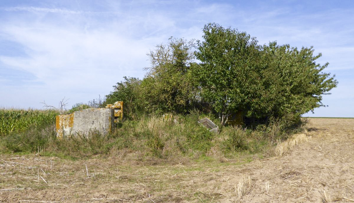 Ligne Maginot - A63BIS - VILLERS POL NORD - (Blockhaus pour canon) - 