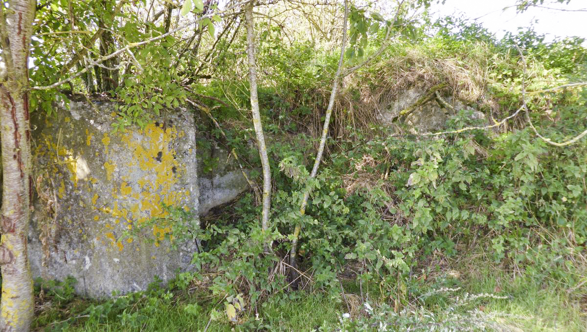 Ligne Maginot - A63BIS - VILLERS POL NORD - (Blockhaus pour canon) - 