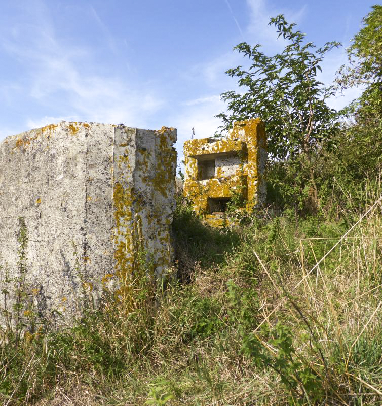 Ligne Maginot - A63BIS - VILLERS POL NORD - (Blockhaus pour canon) - 