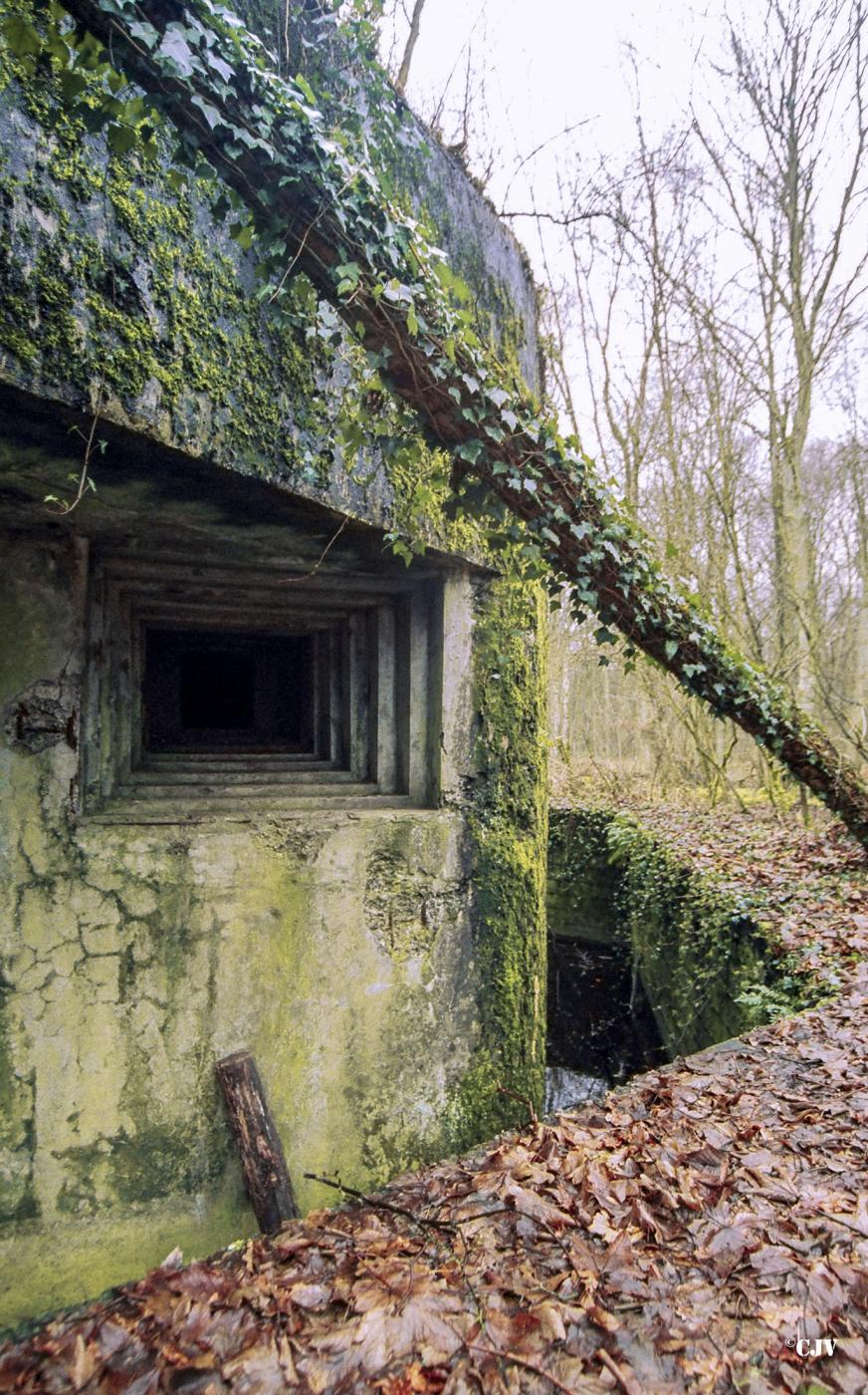 Ligne Maginot - Casemate de la DRÈVE SAINT ANTOINE - C6 - 