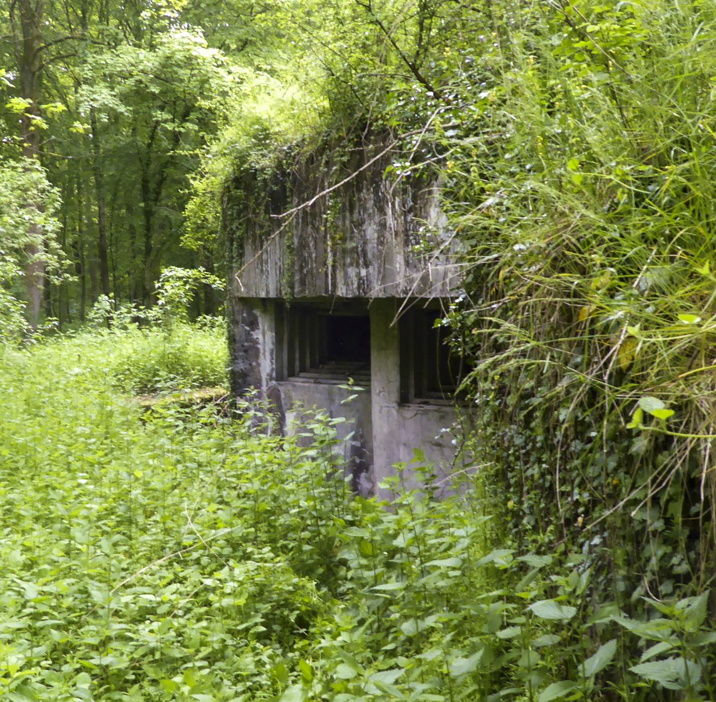 Ligne Maginot - DREVE SAINT ANTOINE - C6 - (Casemate d'infanterie - double) - Chambre de tir Est