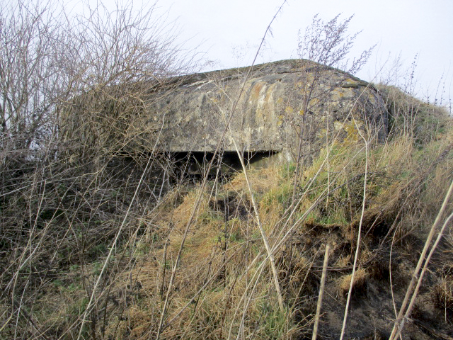 Ligne Maginot - B477 - ESTREUX NORD - (Blockhaus pour canon) - 