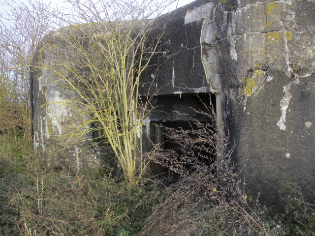 Ligne Maginot - B477 - ESTREUX NORD - (Blockhaus pour canon) - 