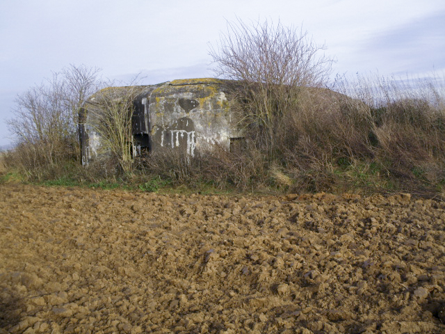 Ligne Maginot - B477 - ESTREUX NORD - (Blockhaus pour canon) - 