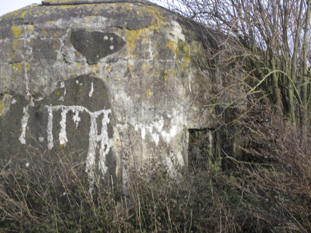 Ligne Maginot - B477 - ESTREUX NORD - (Blockhaus pour canon) - 