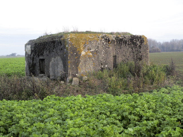 Ligne Maginot - B482 - SAINT DRUON (PDS) - (Abri actif) - Blockhaus dans son environnement, situé au lieu-dit 'Champ aux Arbres', à proximité d'un voie romaine.