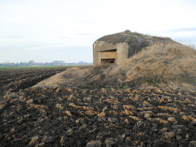 Ligne Maginot - B484 - STATION DE CURGIES - (Blockhaus pour canon) - Blockhaus dans son environnement.