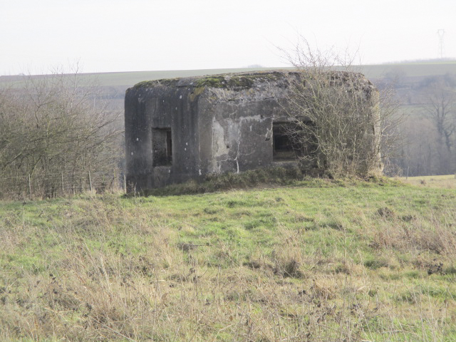 Ligne Maginot - B493 - TALANDIER SUD-EST (PDS) - (Abri actif) - Situé dans un pré clôturé, le blockhaus est visible du Chemin du Bois.