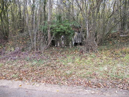 Ligne Maginot - B528 - BOIS de la FERRIERE Nord (Blockhaus pour canon) - 