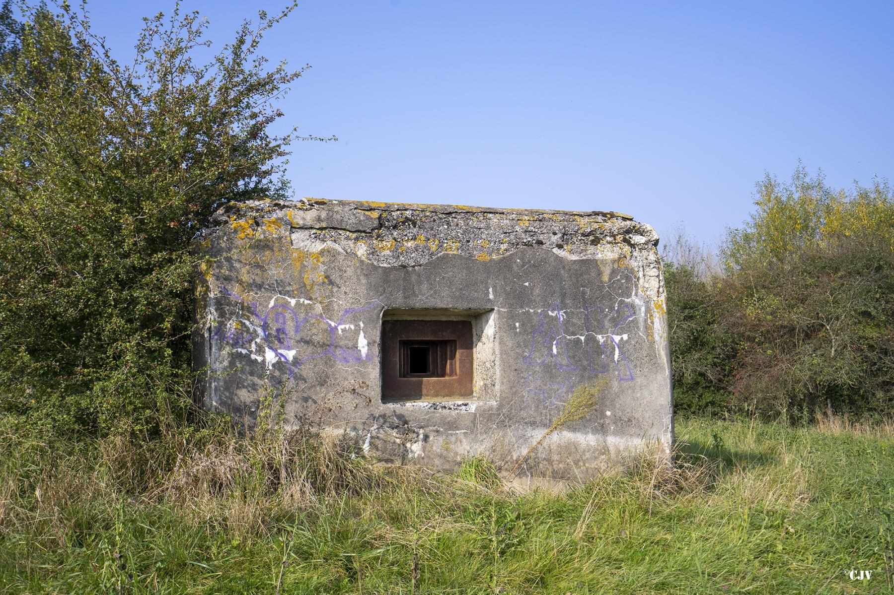 Ligne Maginot - B493 - TALANDIER SUD-EST (PDS) - (Abri actif) - 