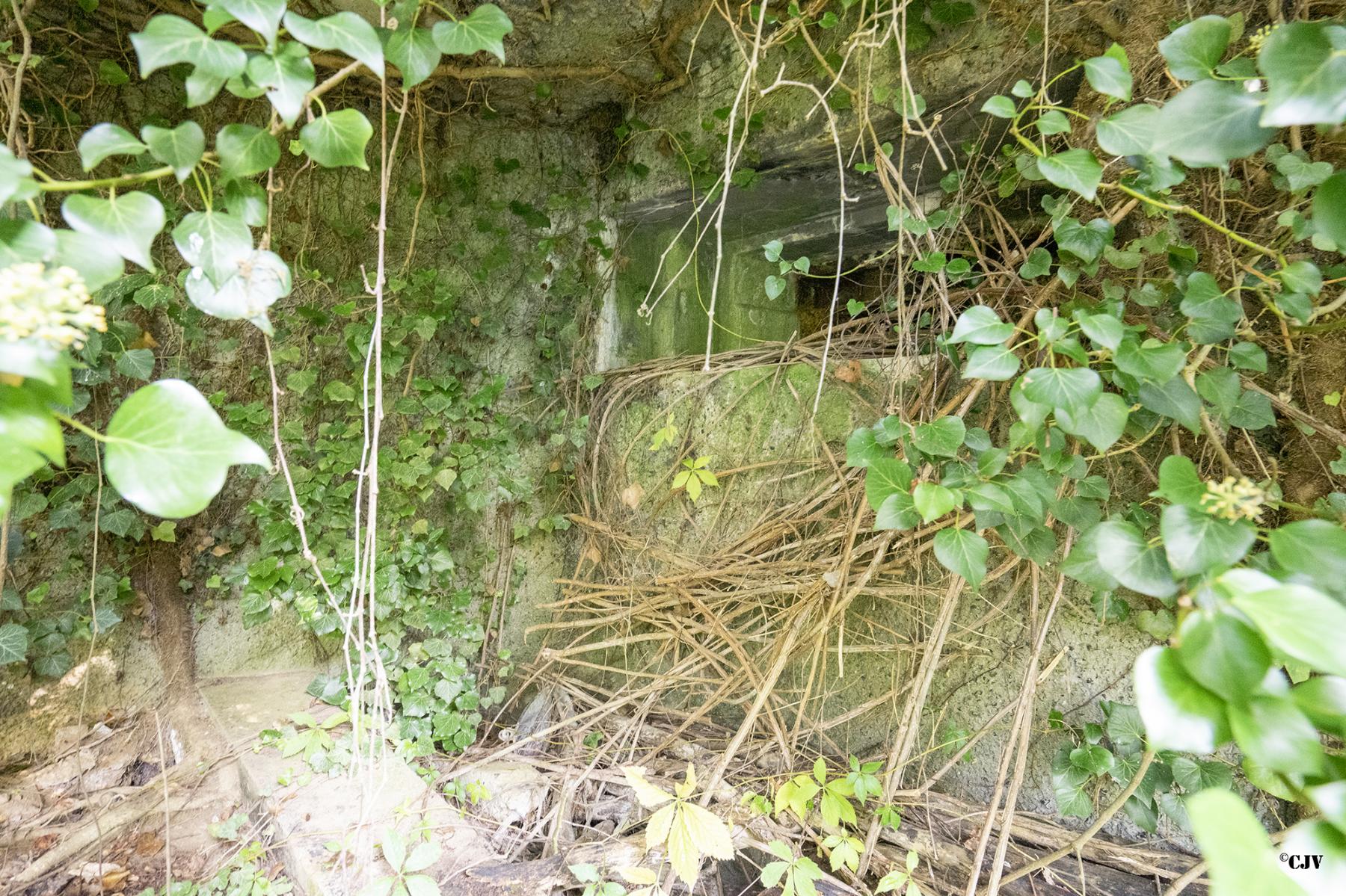 Ligne Maginot - B499 - PETITE AUNELLE - (Blockhaus pour canon) - Créneau Ouest