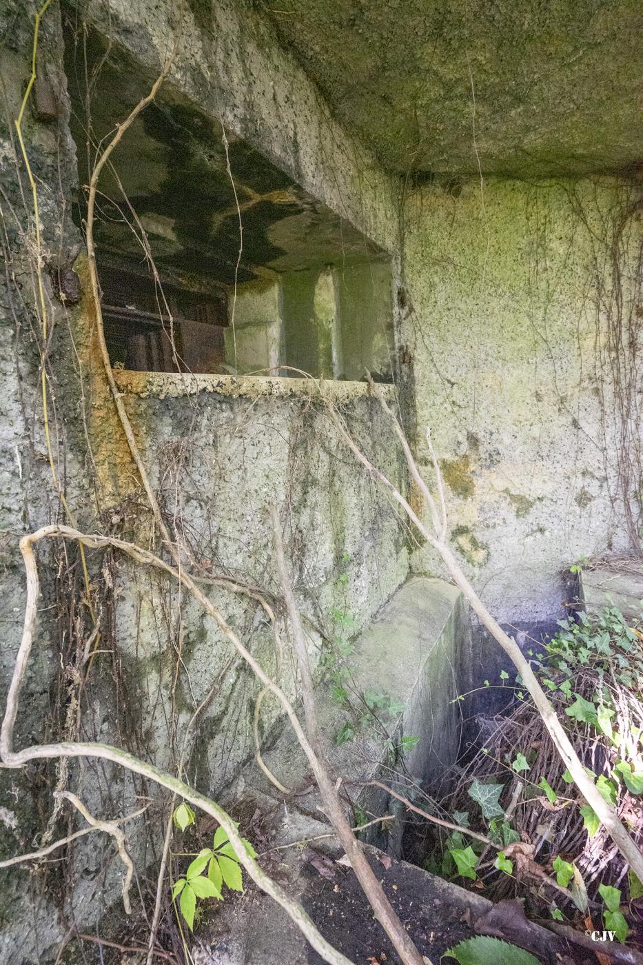 Ligne Maginot - B499 - PETITE AUNELLE - (Blockhaus pour canon) - Créneau Est