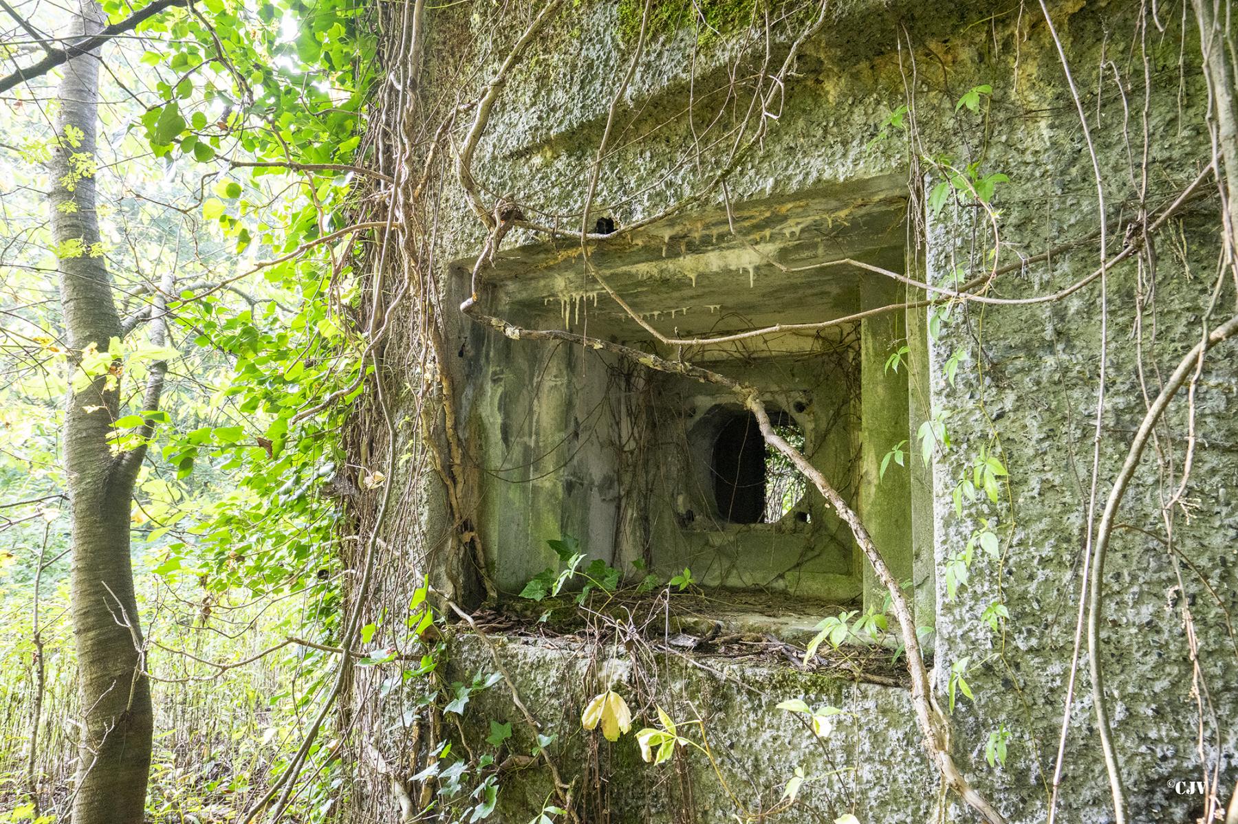 Ligne Maginot - B499 - PETITE AUNELLE - (Blockhaus pour canon) - Créneau Est 