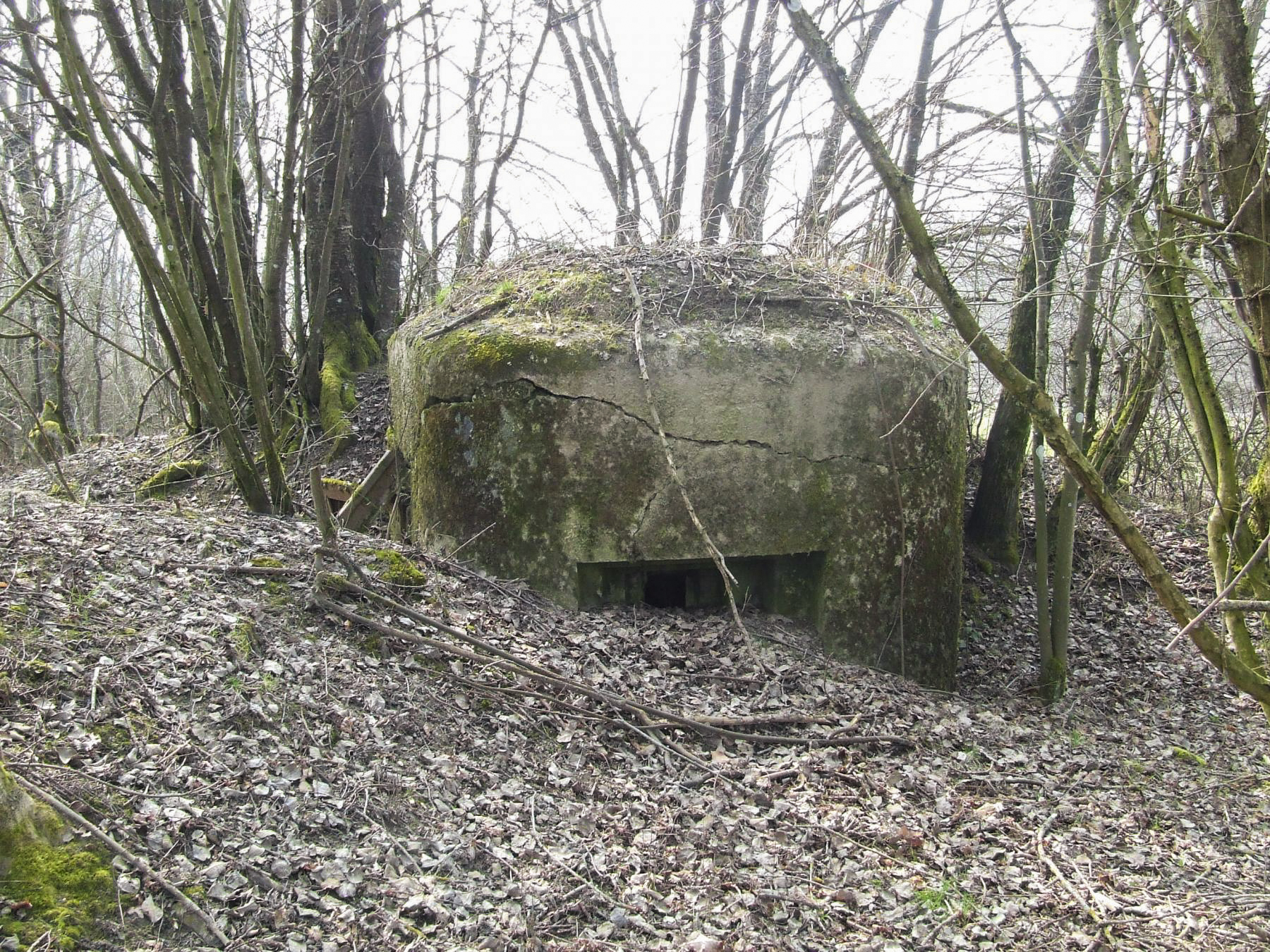 Ligne Maginot - FERME DES TUILERIES - BITCHERBERG 2 - (Blockhaus pour arme infanterie) - L'embrasure secondaire pour FM 24/29.