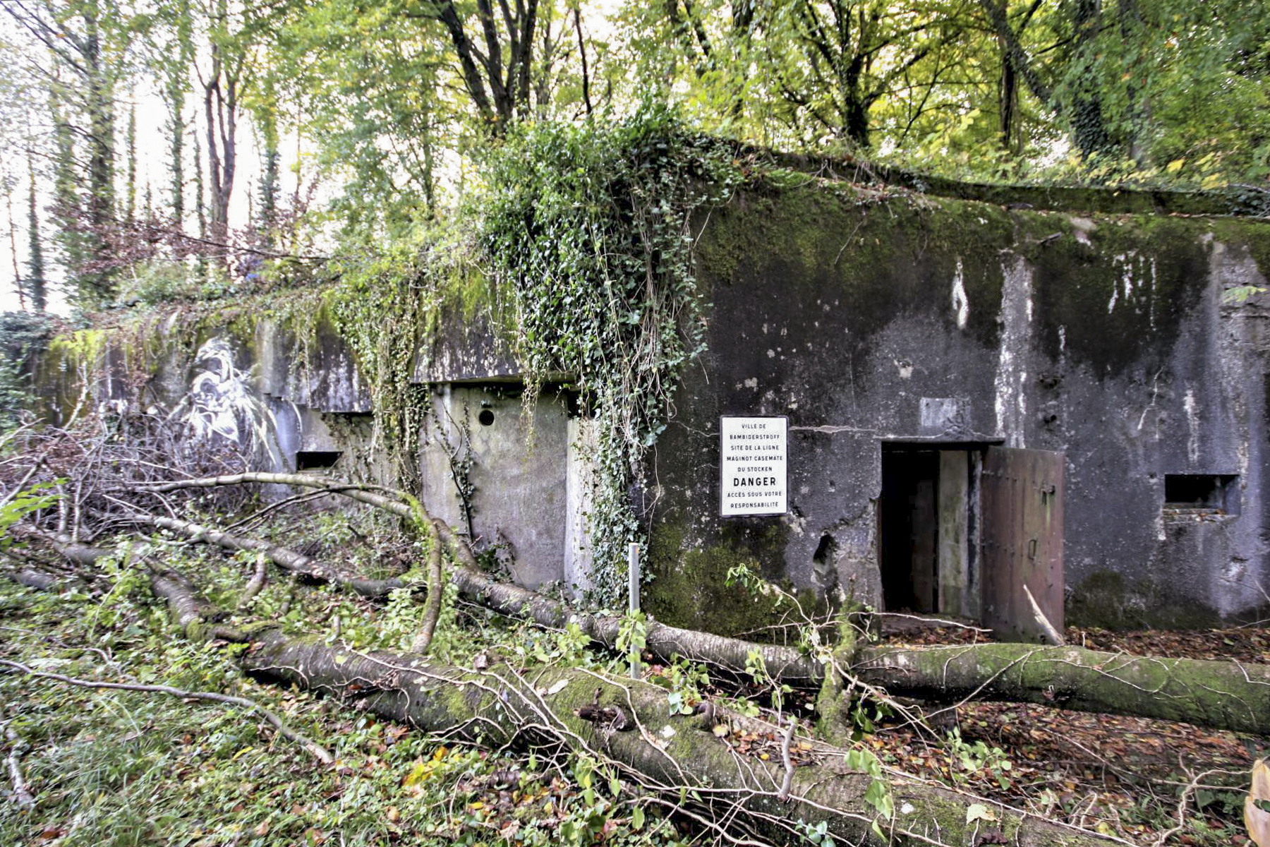 Ligne Maginot - ACA2 - STOCKEN - (Casemate d'artillerie) - La casemate n'est plus entretenue et la végétation a repris le dessus