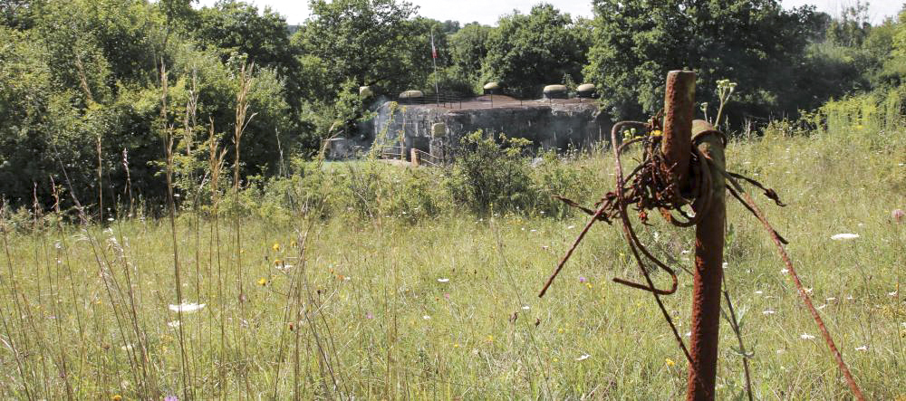 Ligne Maginot - WITTRING - (Casemate d'infanterie) - Les barbelés autour de la casemate