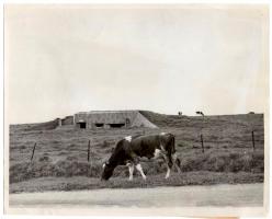 Ligne Maginot - BB27 - HUELSENKLOPP - (Blockhaus pour canon) - Photo de presse 1949
PAR 892566