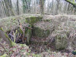 Ligne Maginot - GUNGLINGERBERG 3 - (Cuve pour arme d'infanterie) - Un poste de tir bétonné pour FM.