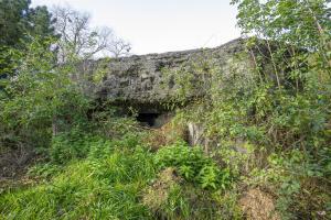 Ligne Maginot - A68 - OEILLET - (Blockhaus pour canon) - Les créneaux sud-est