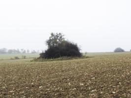 Ligne Maginot - GROSSEN FELD OUEST - (Blockhaus de type indéterminé) - Cherchez le blockhaus !