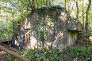 Ligne Maginot - C23 - VIVIER NUTHIAU OUEST - (Casemate d'infanterie) - Le talus manque par endroits