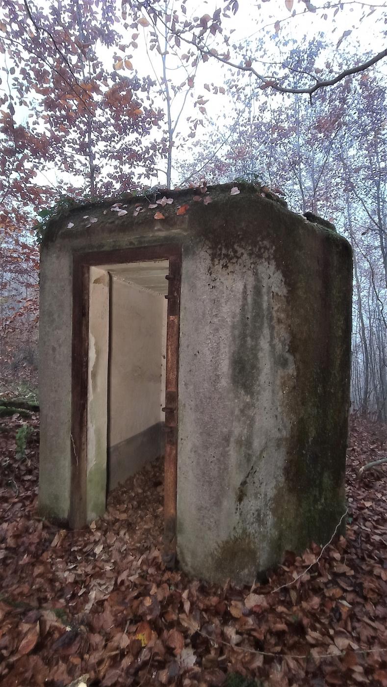 Ligne Maginot - FM - ZIEGELMATT NORD - (Blockhaus pour arme infanterie) - L'entrée