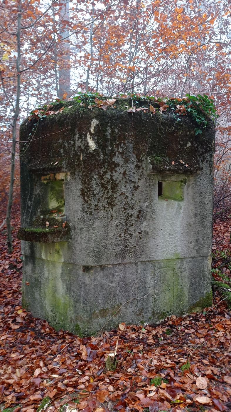 Ligne Maginot - FM - ZIEGELMATT NORD - (Blockhaus pour arme infanterie) - Façade frontale