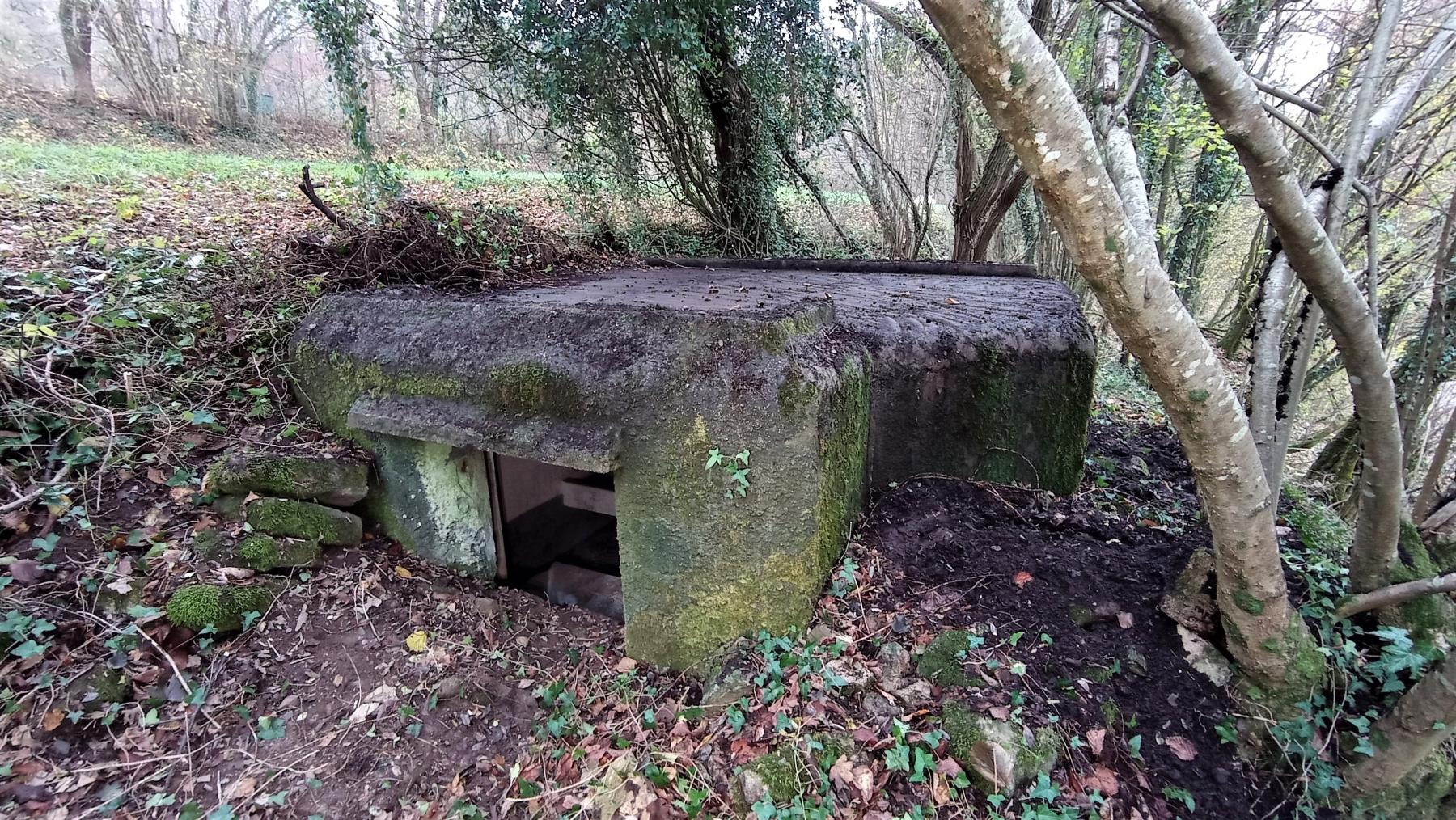 Ligne Maginot - C5 - HELIENBRUCK 1 - (Blockhaus pour canon) - Créneau pour canon de 25 mm