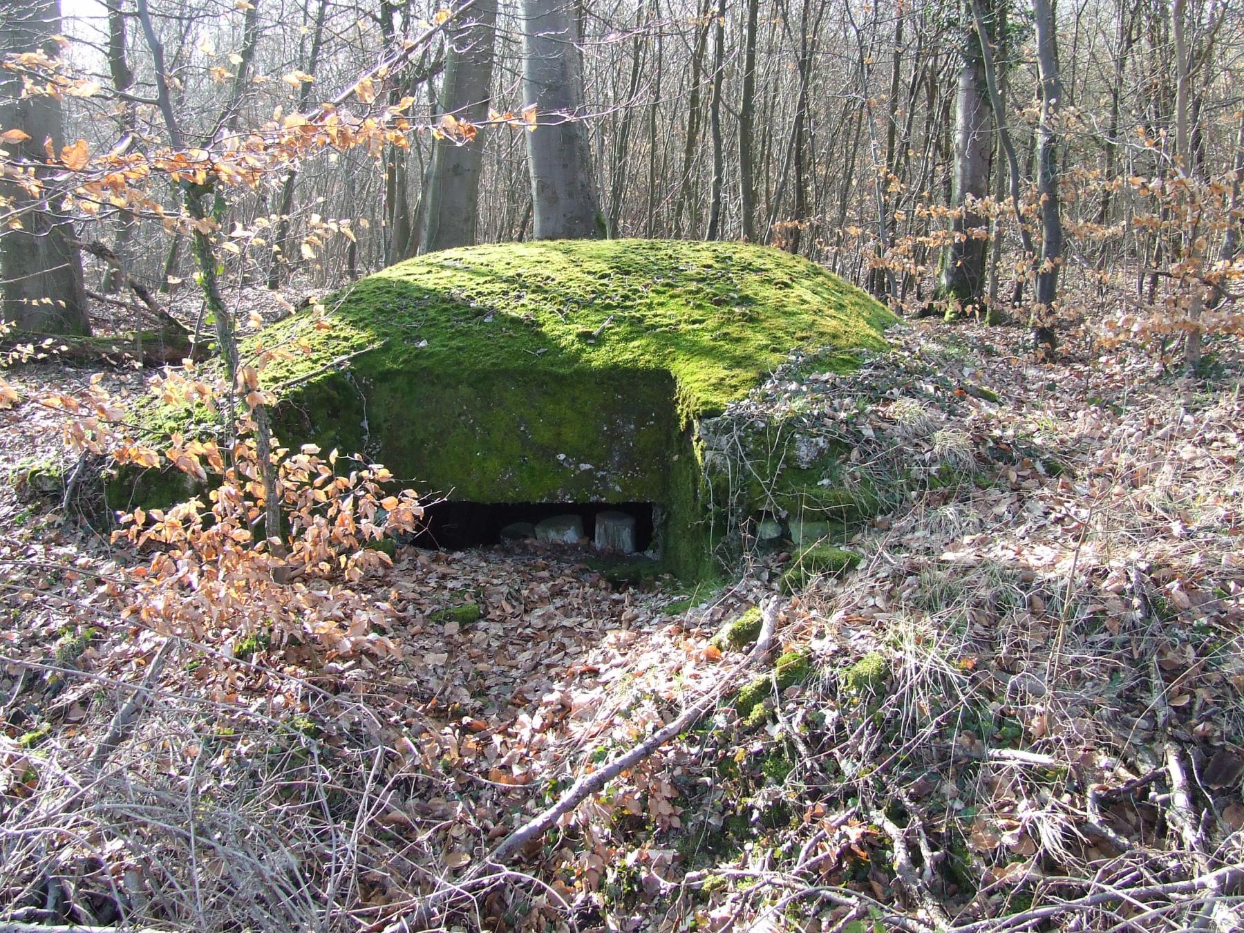 Ligne Maginot - AB5-III - (Observatoire indéterminé) - L'observatoire en 2013.