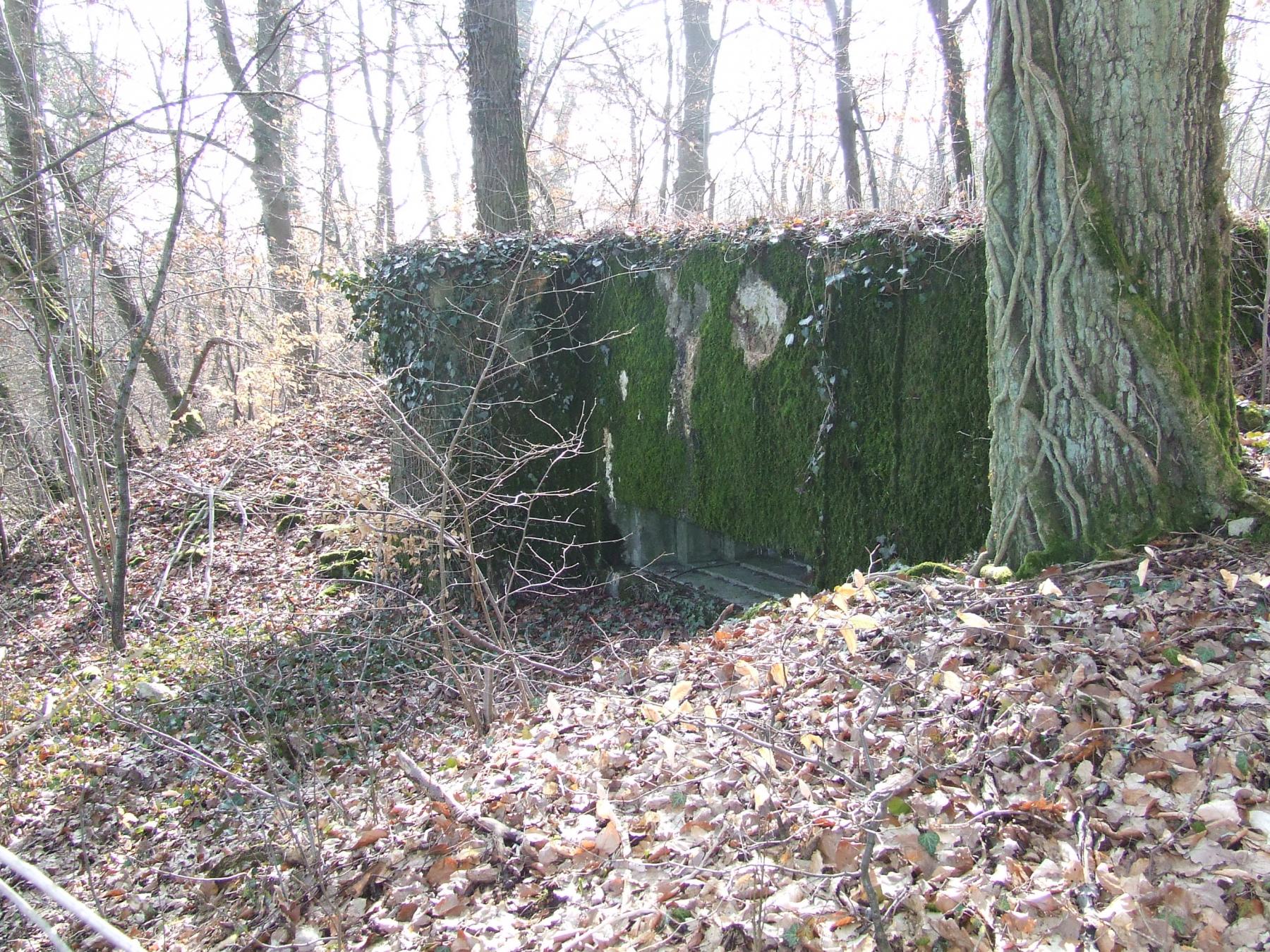 Ligne Maginot - AB5 - (Blockhaus pour canon) - La façade de tir.