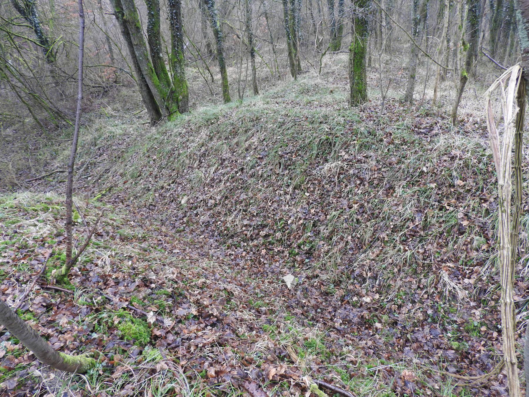 Ligne Maginot - GUNGLINGERBERG 3 - (Cuve pour arme d'infanterie) - La tranchée qui longe la crête et relit les plates-formes 3 et 4.