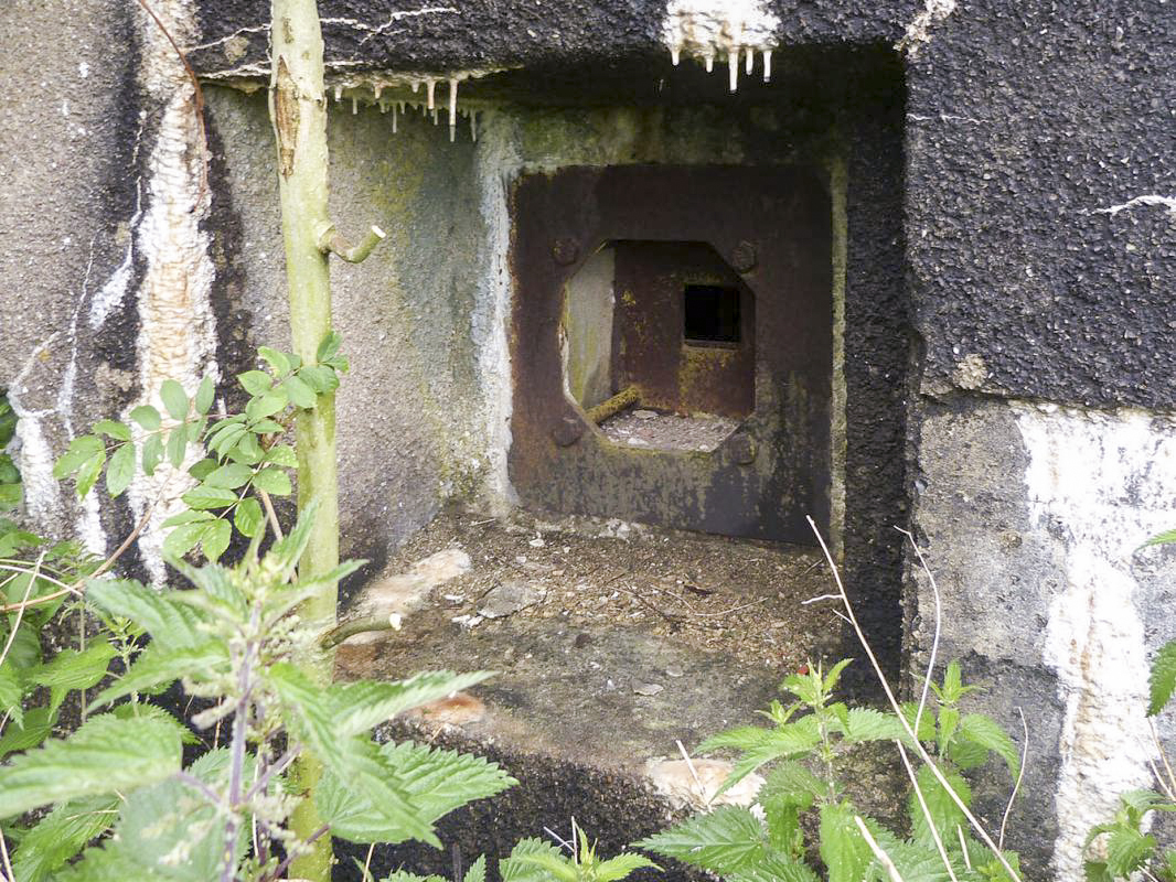 Ligne Maginot - A117 - PASSE D'ANOR - (Casemate d'infanterie - double) - Défense entrées - FM