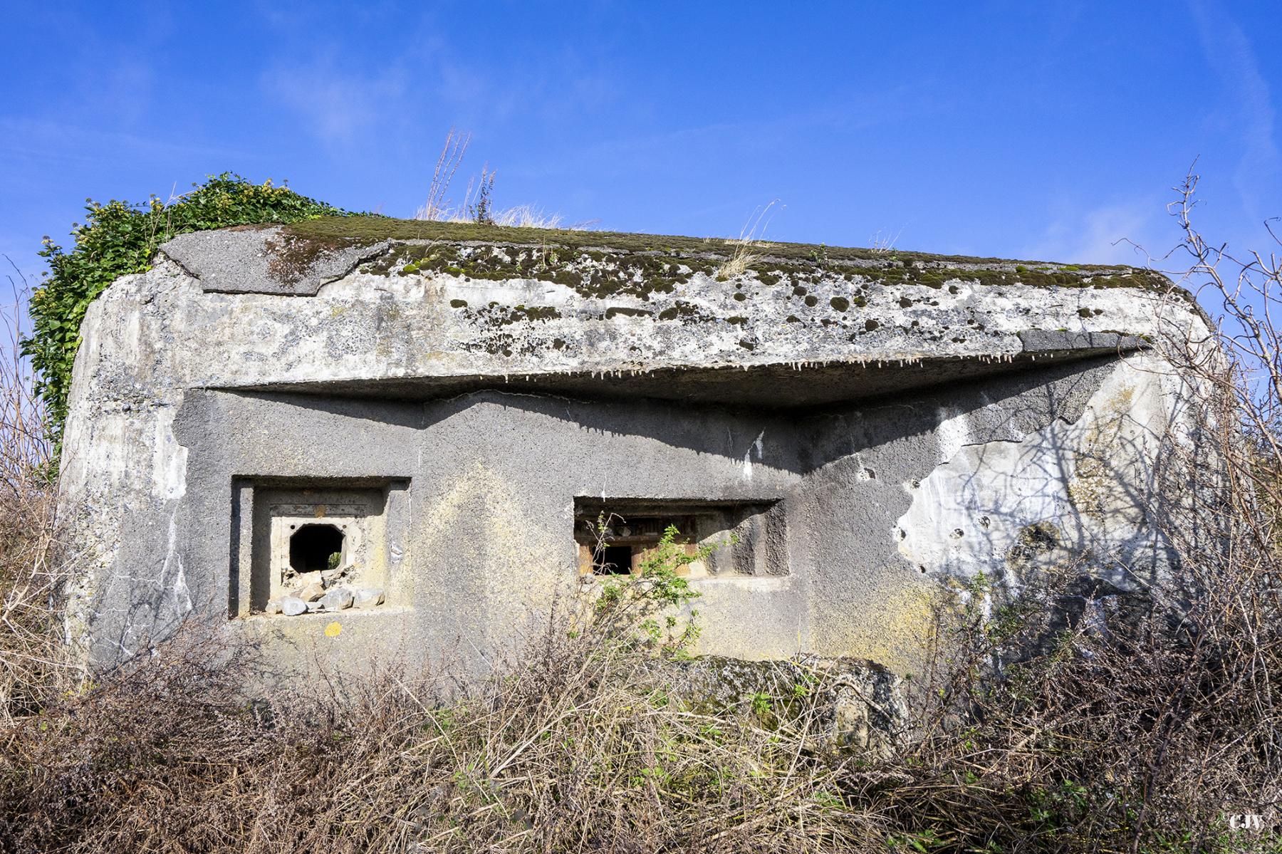 Ligne Maginot - B516 - STATION DE WARGNIES - (Blockhaus pour canon) - Les créneaux