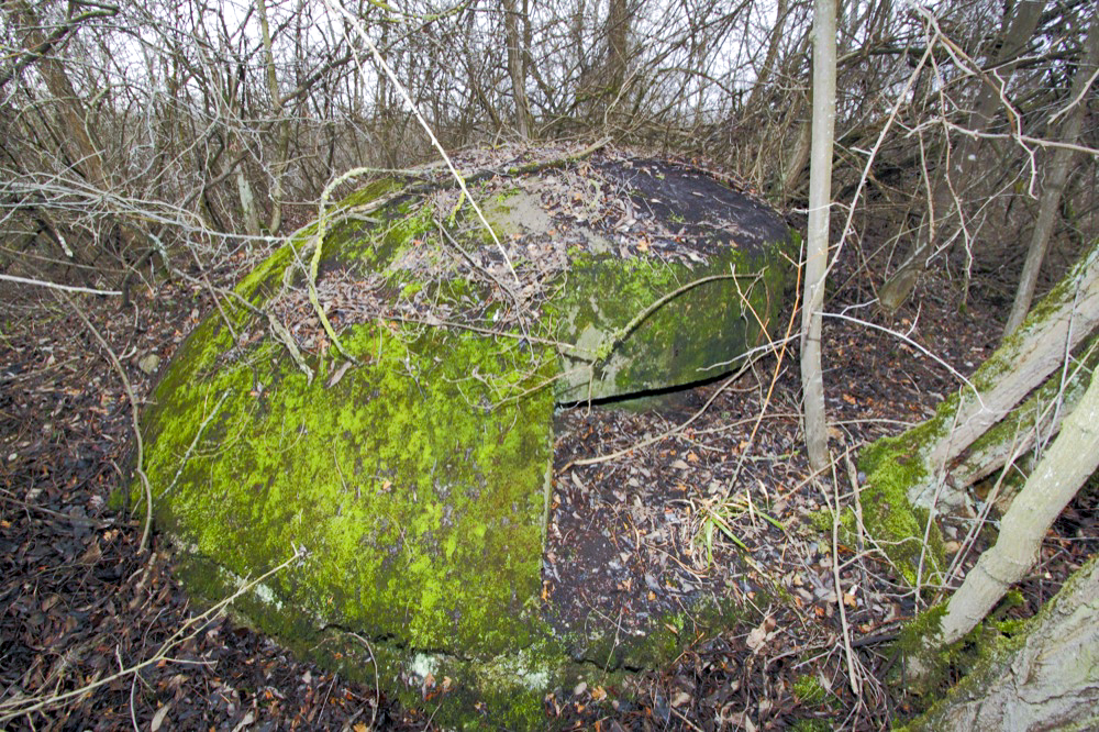 Ligne Maginot - ECLUSE D'HIRTZFELDEN NORD - (Blockhaus pour arme infanterie) - Vue extérieur de la coupole