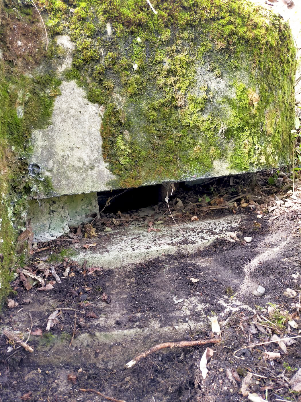 Ligne Maginot - ECLUSE D'HIRTZFELDEN NORD - (Blockhaus pour arme infanterie) - Vue extérieure de la coupole.