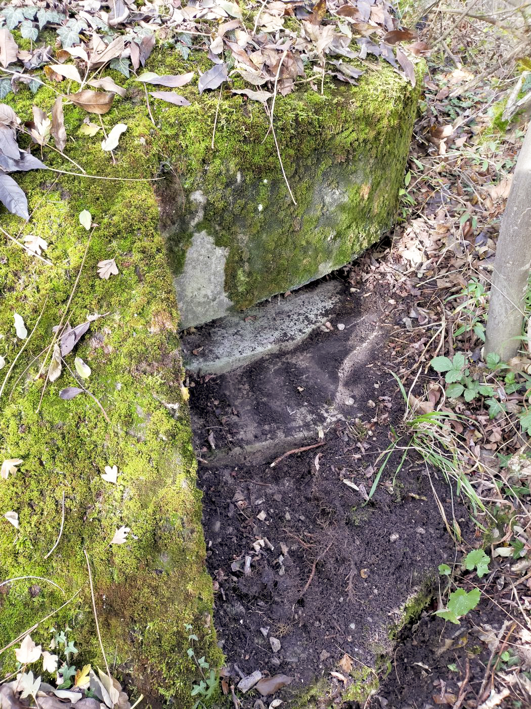 Ligne Maginot - ECLUSE D'HIRTZFELDEN NORD - (Blockhaus pour arme infanterie) - Vue extérieure de la coupole.