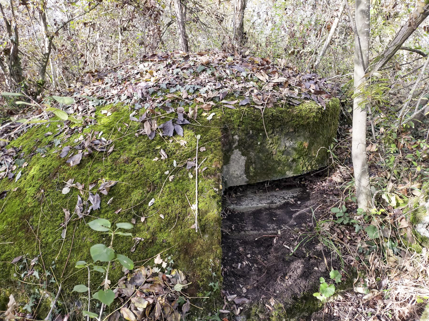 Ligne Maginot - ECLUSE D'HIRTZFELDEN NORD - (Blockhaus pour arme infanterie) - Vue extérieure de la coupole.