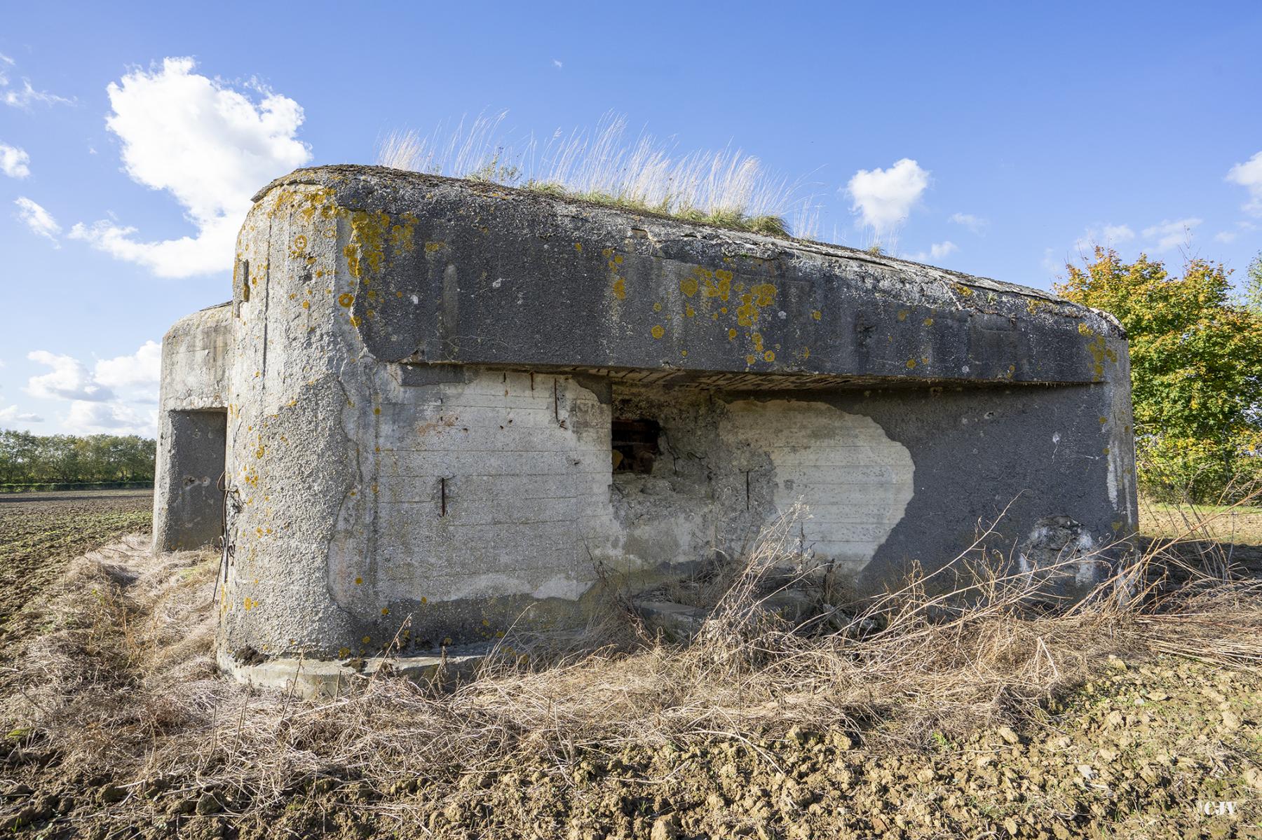 Ligne Maginot - B535 - BOIS-CRETE - (Blockhaus pour canon) - Le blockhaus coté Est