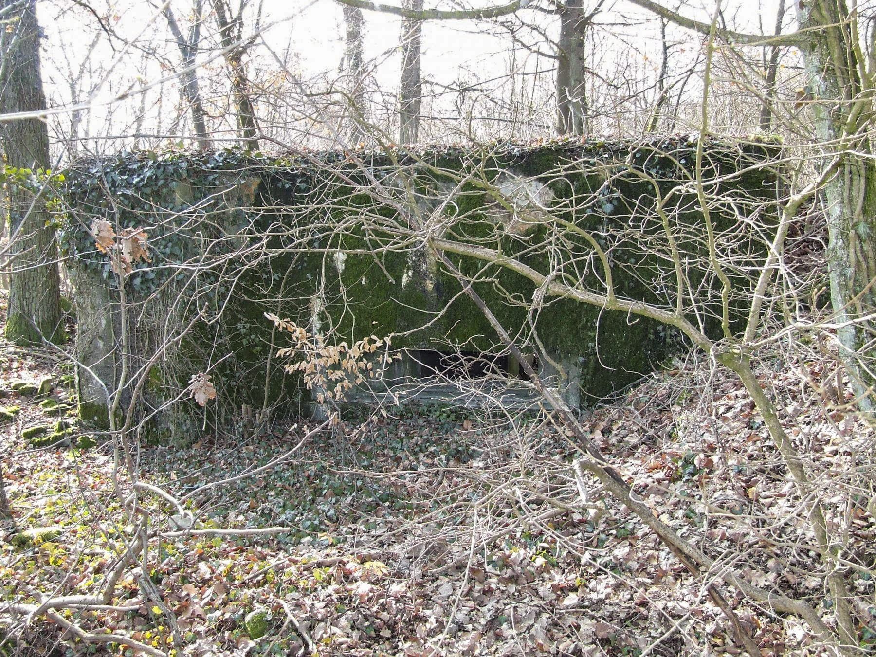 Ligne Maginot - AB5 - (Blockhaus pour canon) - La façade de tir.