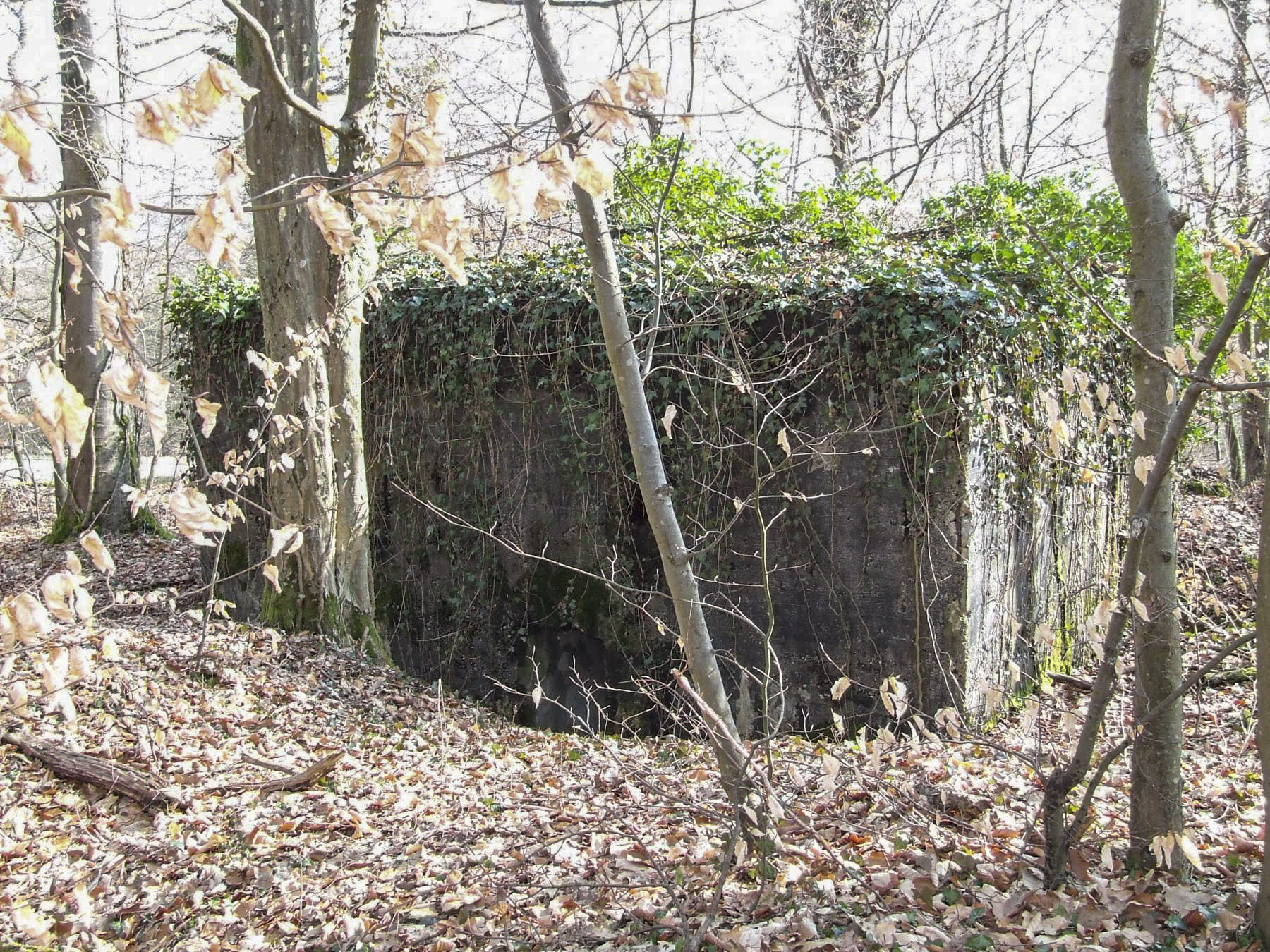 Ligne Maginot - AB5-B - (Blockhaus pour arme infanterie) - La façade arrière et l'entrée.