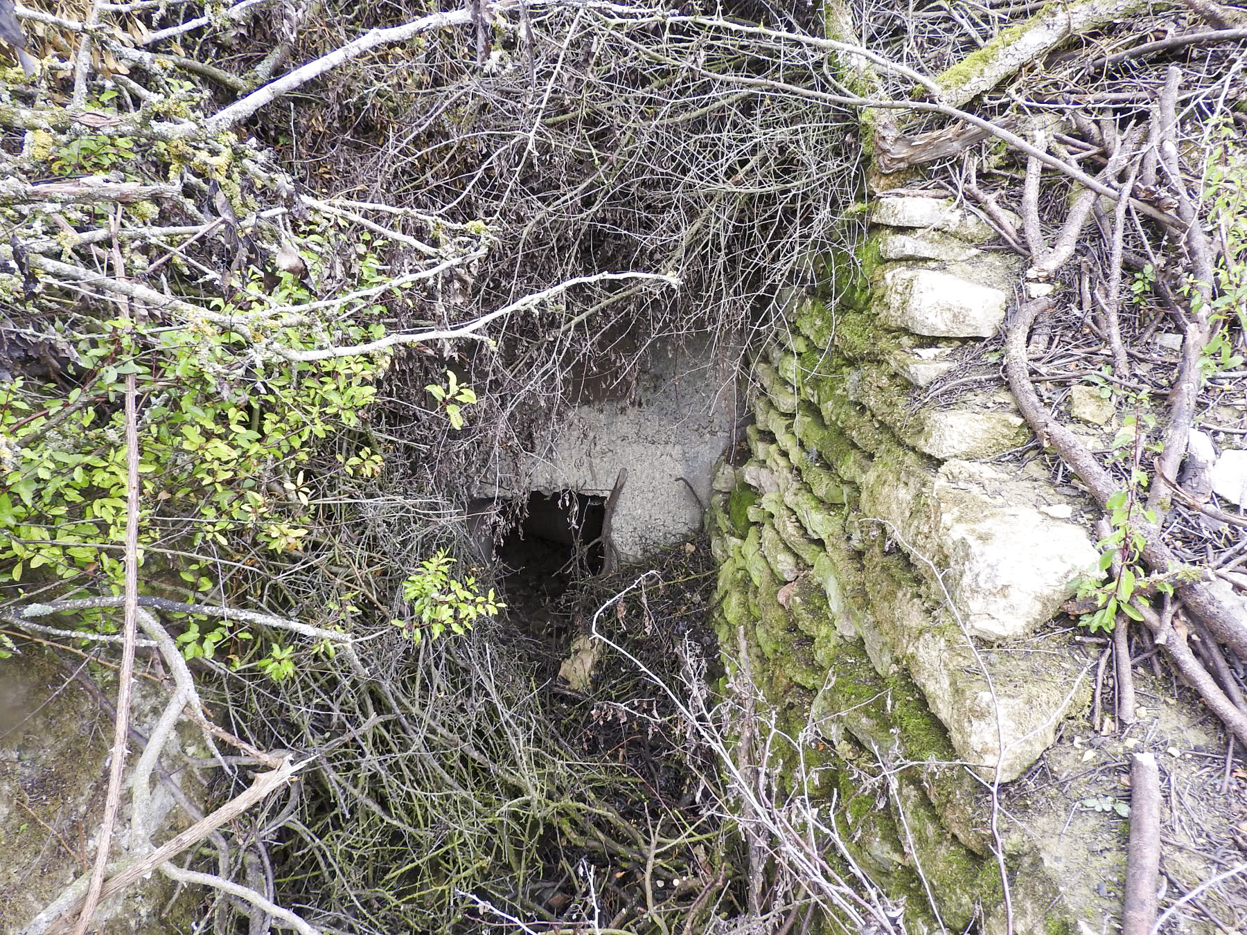 Ligne Maginot - GROSSEN FELD OUEST - (Blockhaus de type indéterminé) - La seule partie visible du blockhaus.