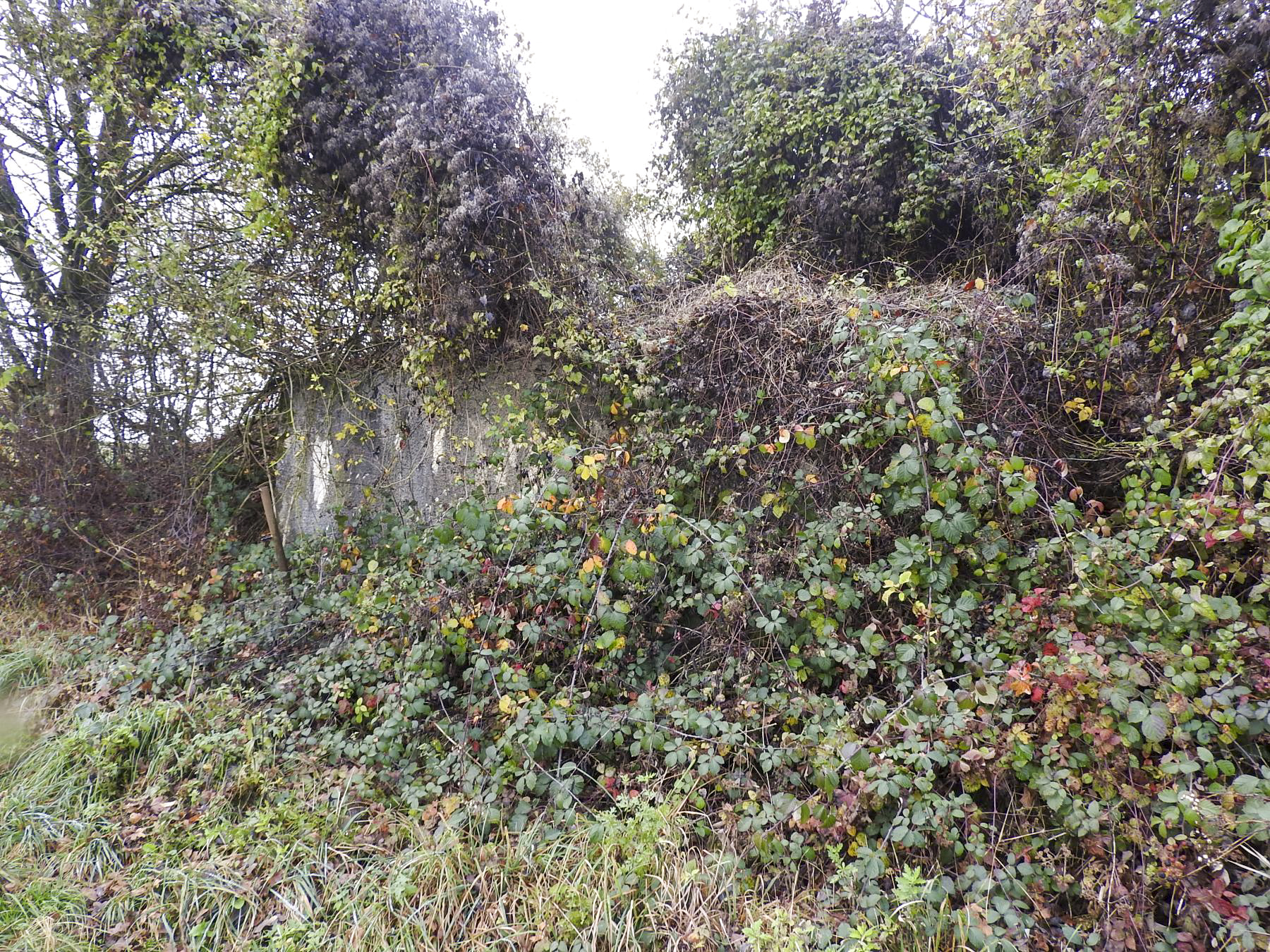 Ligne Maginot - ROUY 4 - (Blockhaus pour canon) - La seule partie du blockhaus encore visible en 2021.