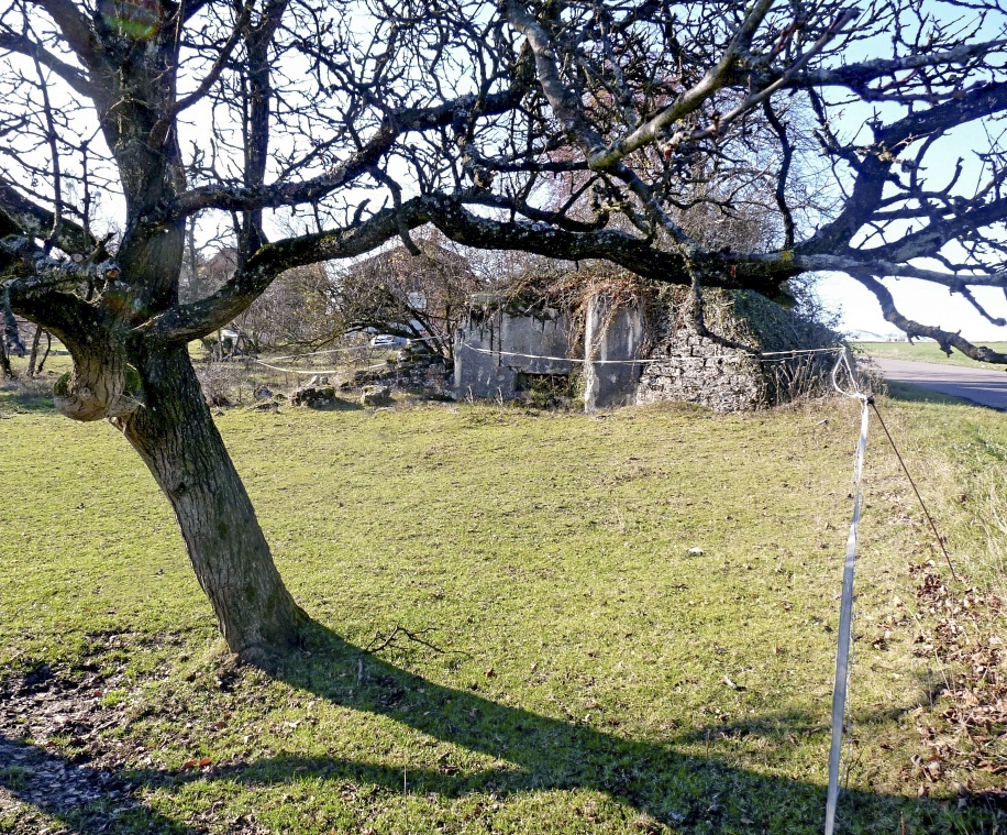 Ligne Maginot - FERME BRANDSTUDEN 4 - (Blockhaus pour canon) - 