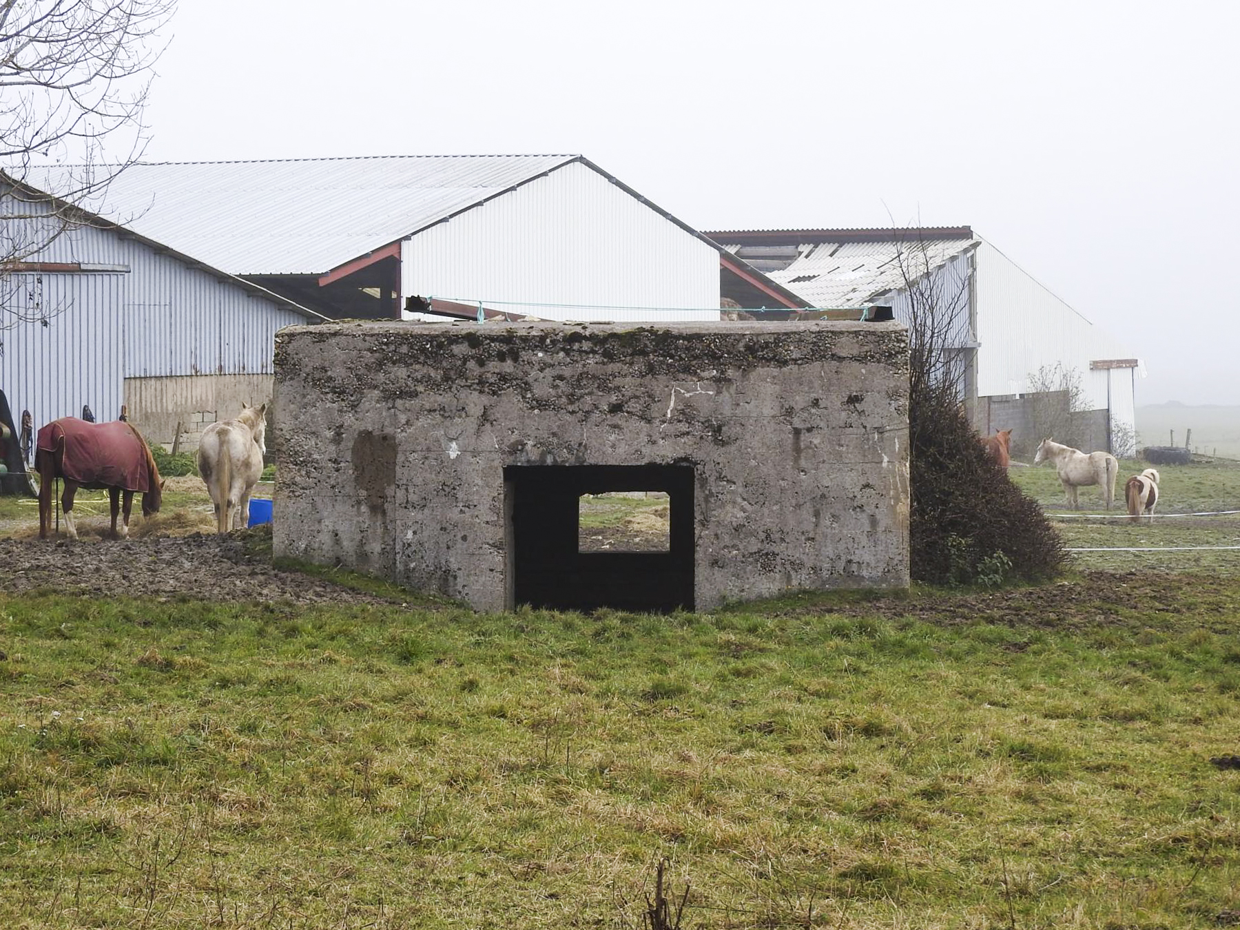 Ligne Maginot - FERME BRANDSTUDEN 1 - (Blockhaus pour canon) - L'entrée pour le canon anti-char.