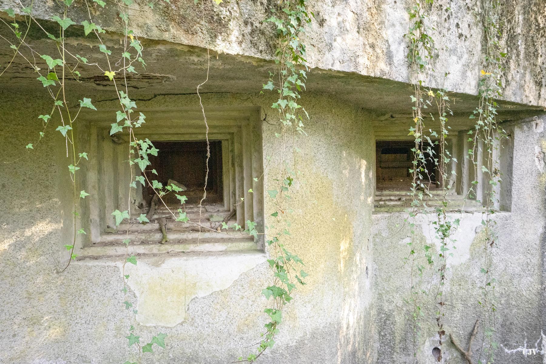 Ligne Maginot - C23 - VIVIER NUTHIAU OUEST - (Casemate d'infanterie) - Les créneaux