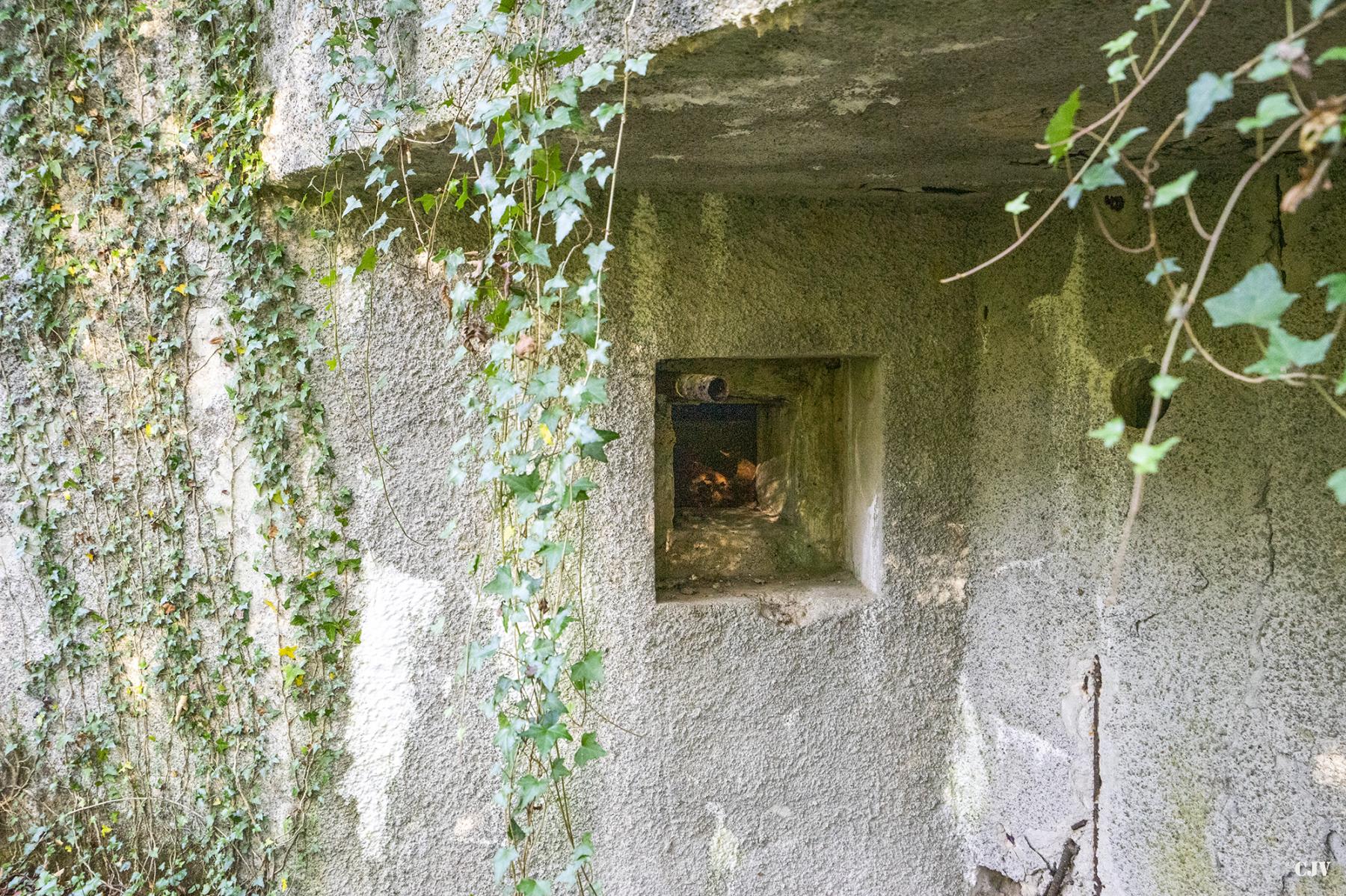 Ligne Maginot - C23 - VIVIER NUTHIAU OUEST - (Casemate d'infanterie) - Le créneau de flanquement de la façade