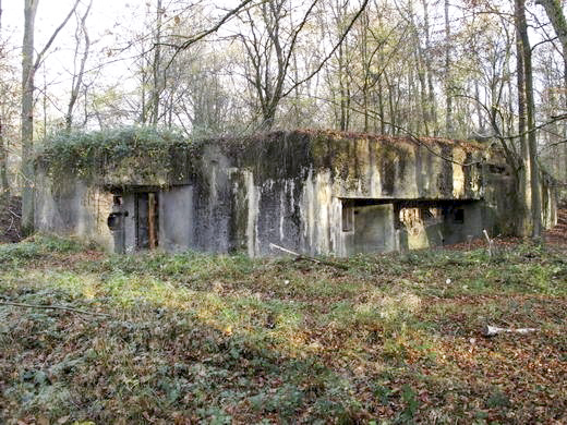 Ligne Maginot - C24 - VIVIER NUTHIAU EST - (Casemate d'infanterie) - 